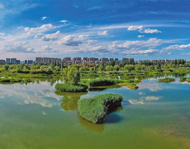 湿地公园美如画